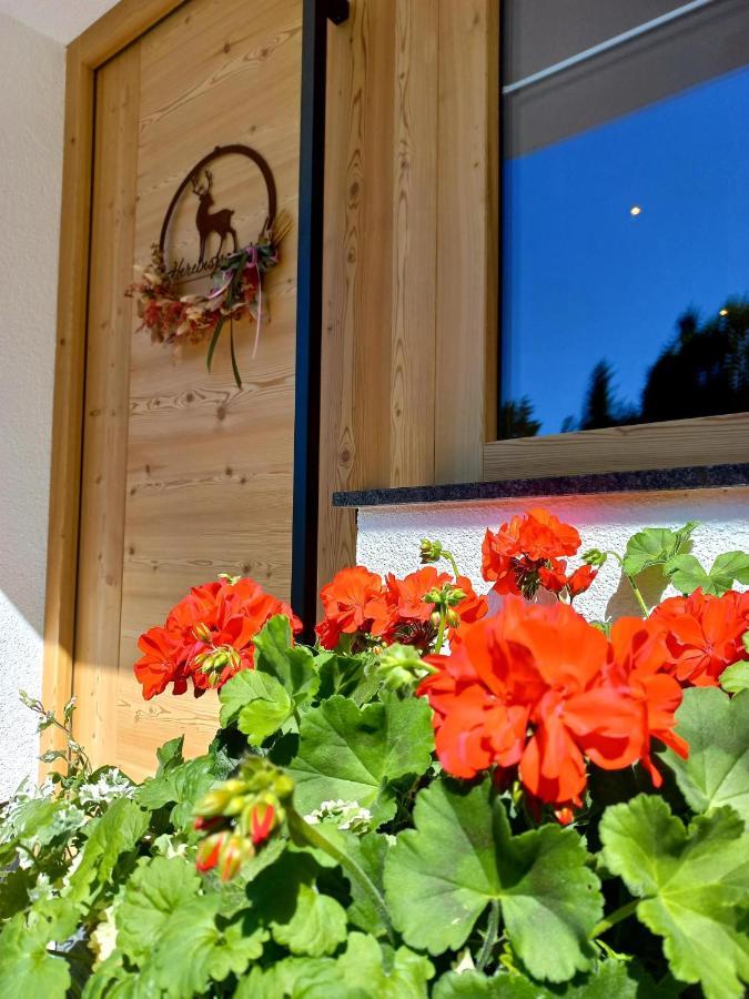 Bergappartement Kink Hopfgarten im Brixental Ngoại thất bức ảnh